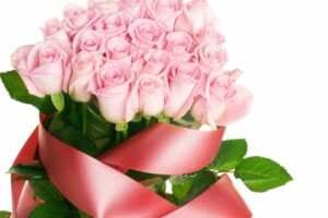 Шикарный букет роз в подарок