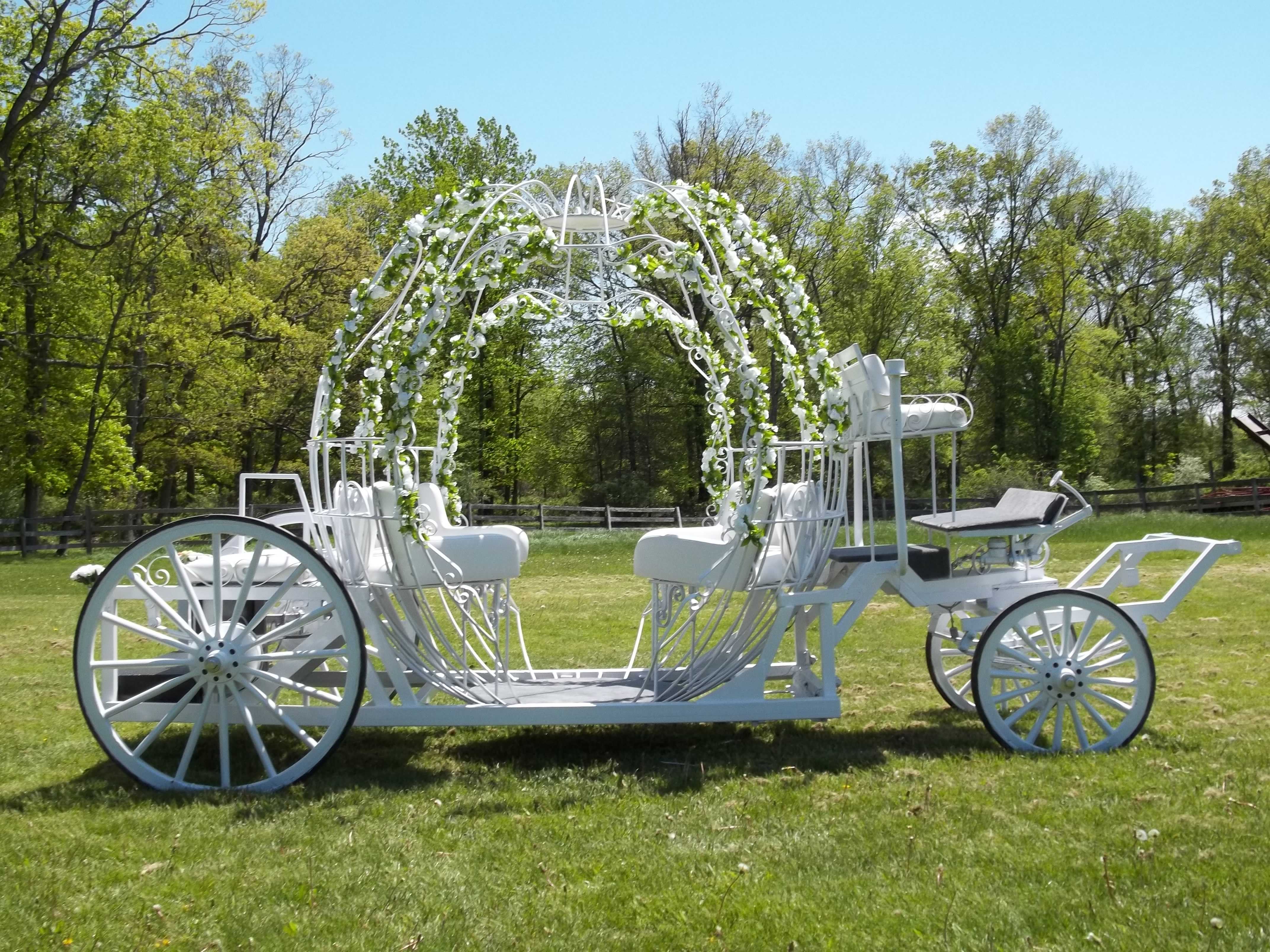 Карета. Карета на свадьбу. Свадебная карета с лошадьми. Невеста в карете.