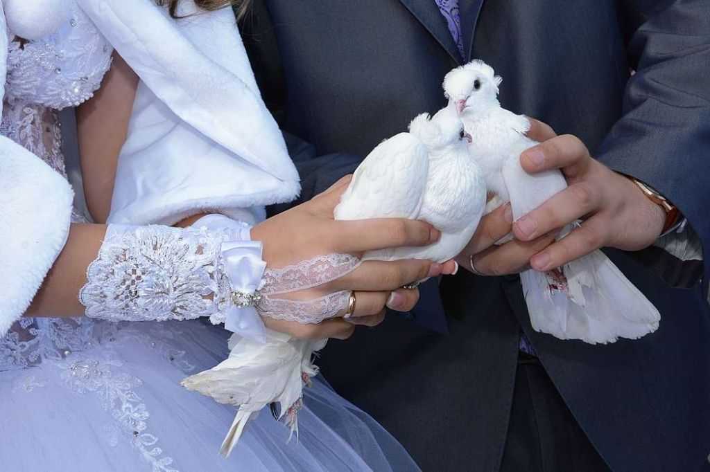 Свадебные приметы в загсе