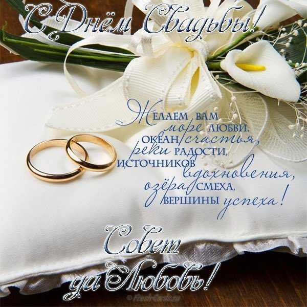 Поздравление на свадьбу прикольные короткие - pzdb.ru - поздравления на все случаи жизни