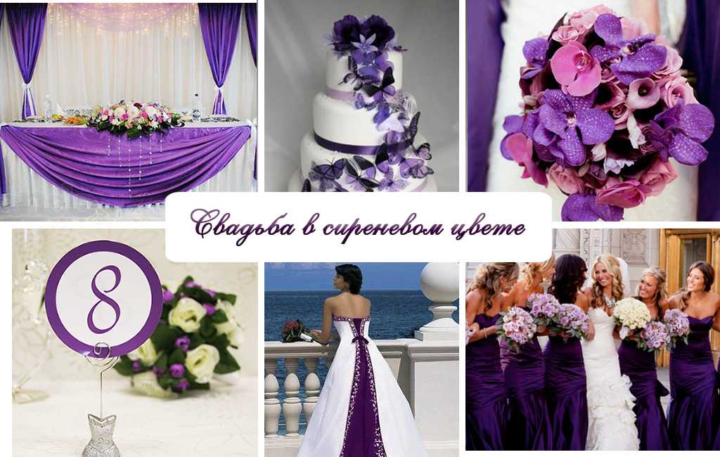Сонник фиолетовое свадебное платье. к чему снится фиолетовое свадебное платье видеть во сне - сонник дома солнца