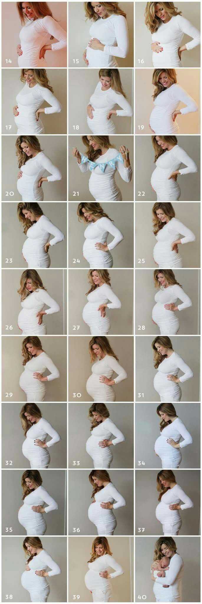 3 лучших идеи для фотосессии беременных