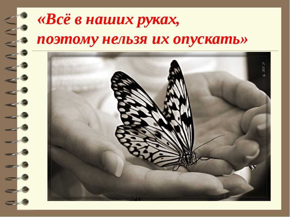 Бабочки в жизни людей